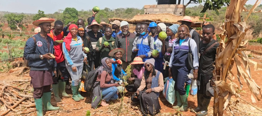 Visite d'étude à Tchabal — cultures maraîchères